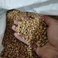 لوبیه درجه یک تمیز کیلوی۱۲۰۰۰۰۰