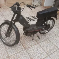 مارال تمیز و سالم