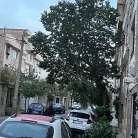 ۲۳۰ متر کلنگی / میدان المپیک / جوانمردان