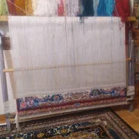 قالی|فرش|نقده, |دیوار