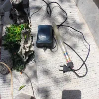 اکواریوم. شازند|ماهی|اراک, |دیوار