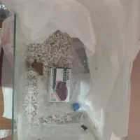 آکواریوم|ماهی|اهر, |دیوار