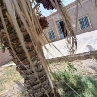 زمین فروشی با درختان مضافتی و یک خانه ۶۵ متری