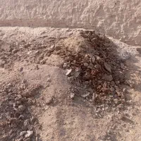 فروش کودگاو