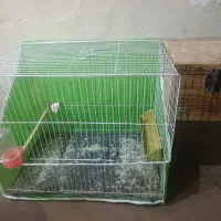 قفس کوتوله