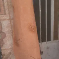 شهر موکت سراوان|موکت|سراوان, |دیوار