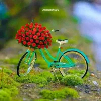 بورسیه تحصیلی پزشکی دندان دارو قبرس شمالی تضمینی