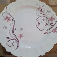 سرویس25پارچه آپال گرد|ظروف سرو و پذیرایی|رشت, یخسازی|دیوار