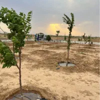 زمین باغی سند دار|فروش زمین و ملک کلنگی|شاهین‌شهر, گرگاب|دیوار