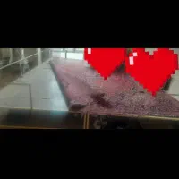 تخت ۱۲متری|تخت و سرویس خواب|آذرشهر, |دیوار