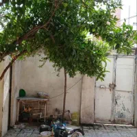 اجاره ویلایی قدیمی کوچه دنیای روسری