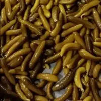 خیارشور همدان