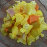 تزشی خانگی