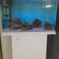 اکواریوم شیشه خم|ماهی|قرچک, باقرآباد|دیوار