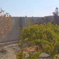 فروش چند قطعه باغچه بدون واسطه با متراژ های مختلف|فروش زمین و ملک کلنگی|تهران, شهرک پاسداران|دیوار