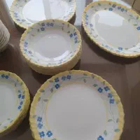 ارکوپال 12 نفره فرانسوی|ظروف سرو و پذیرایی|یزد, |دیوار