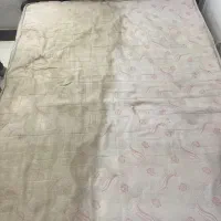 مبل شویی و قالی شویی تخصصی در منزل(با مواد نانو)