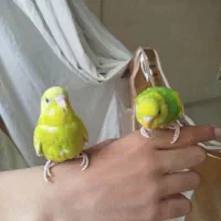 مرغ عشق دستی دستی شیطون وبازیگوش