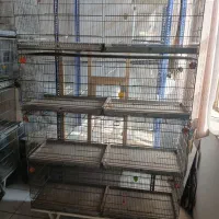 یک عدد قفس هشت خان پژاوند