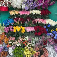 به یک نیروی کار بلد برای گلفروشی نیازمندیم