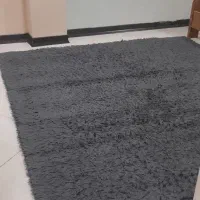 فرش شگی در حدنو