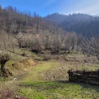 زمین ب متراژ ۴۷۰۰ ویو ابدی|فروش زمین و ملک کلنگی|توتکابن, |دیوار