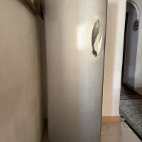 فریزر بدون برفک امرسان
