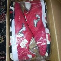 کفش سالنی|کیف، کفش، کمربند|قم, ولیعصر|دیوار