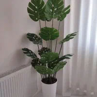 گل مصنوعی برگ انجیری