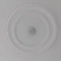 گچ کاری و لکه گیری|خدمات پیشه و مهارت|جیرفت, |دیوار