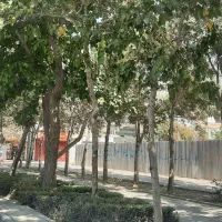 مفقودی کارت ملی