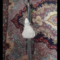 دوچرخه سایز ۲۴|دوچرخه، اسکیت، اسکوتر|بجنورد, |دیوار