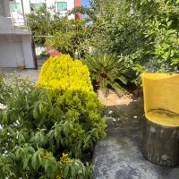 ویلا دوبلکس ساحلی دوخواب دربست|اجارهٔ کوتاهمدت آپارتمان و سوئیت|محمودآباد, |دیوار