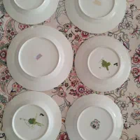 تعداد زیادی بشقاب آنتیک قدیمی|کلکسیون اشیاء عتیقه|ملایر, |دیوار