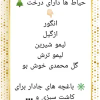 خانه (*دو واحدی*) ۳ خوابه 300 متری در سروستان|فروش خانه و ویلا|شیراز, فضلآباد|دیوار