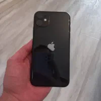 11 Normal