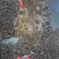 خریدار اصلی موهای طبیعی  با قیمت با بالاترین قیمت