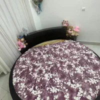 تخت دونفره گرد|تخت و سرویس خواب|بجنورد, |دیوار