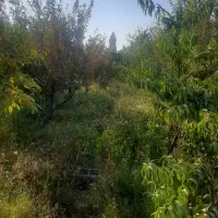 250مترزمین-باغچه4دیواری2دونبش-ساخت-سهیلیه-زعفرانیه