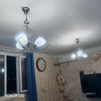 لوسترسه شاخه