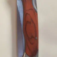 چاقو ستاره طلایی امریکایی در حد و کمیاب