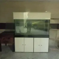 آکواریوم بزرگ|ماهی|تبریز, |دیوار