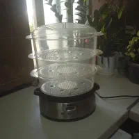 بخار پز