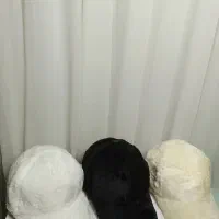 کیف و کلاه|حراج|تهران, بازار|دیوار