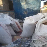 گندم|لوازم جانبی حیوانات|گلزار, |دیوار