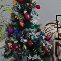 درختچه کریسمس  قیمت مناسب