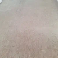 پالاز موکت در حد