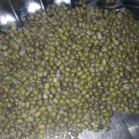 حبوبات،لوبیا،عدس،نخود،چای زیرقیمت موجودکردیم|خوردنی و آشامیدنی|شوشتر, |دیوار