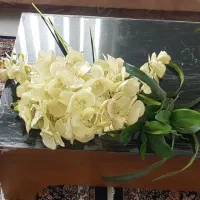 7 عدد گل ارکیده مصنوعی لیمویی