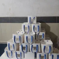 بگ دندونی